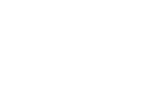 Next.js, the cutting-edge framework for front-end web development